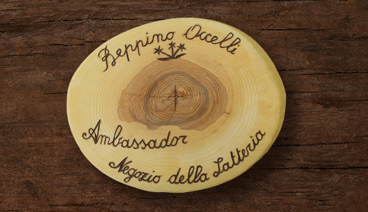 Beppino Occelli Ambassador